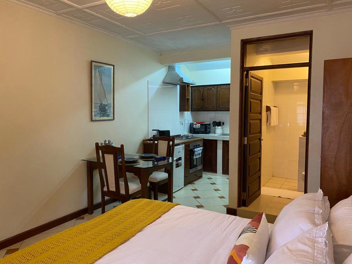 Furnished Studio Apartment with Parking at Peponi Road - 7