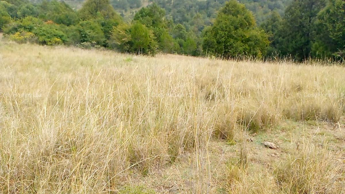 Residential Land at Mugunda - 1