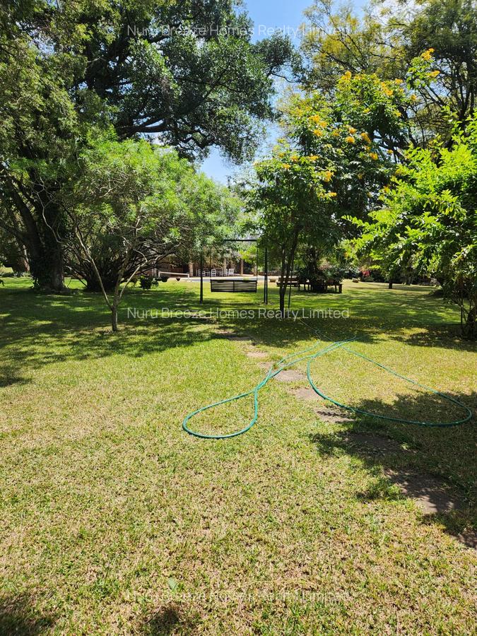 1 ac Land in Karen - 5