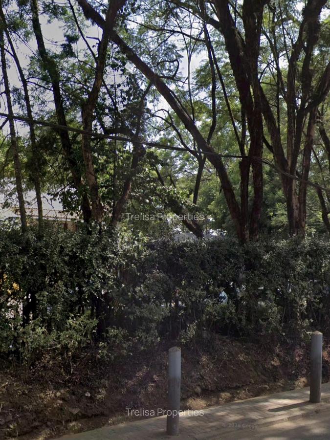 0.75 ac Land at Riara Road - 1