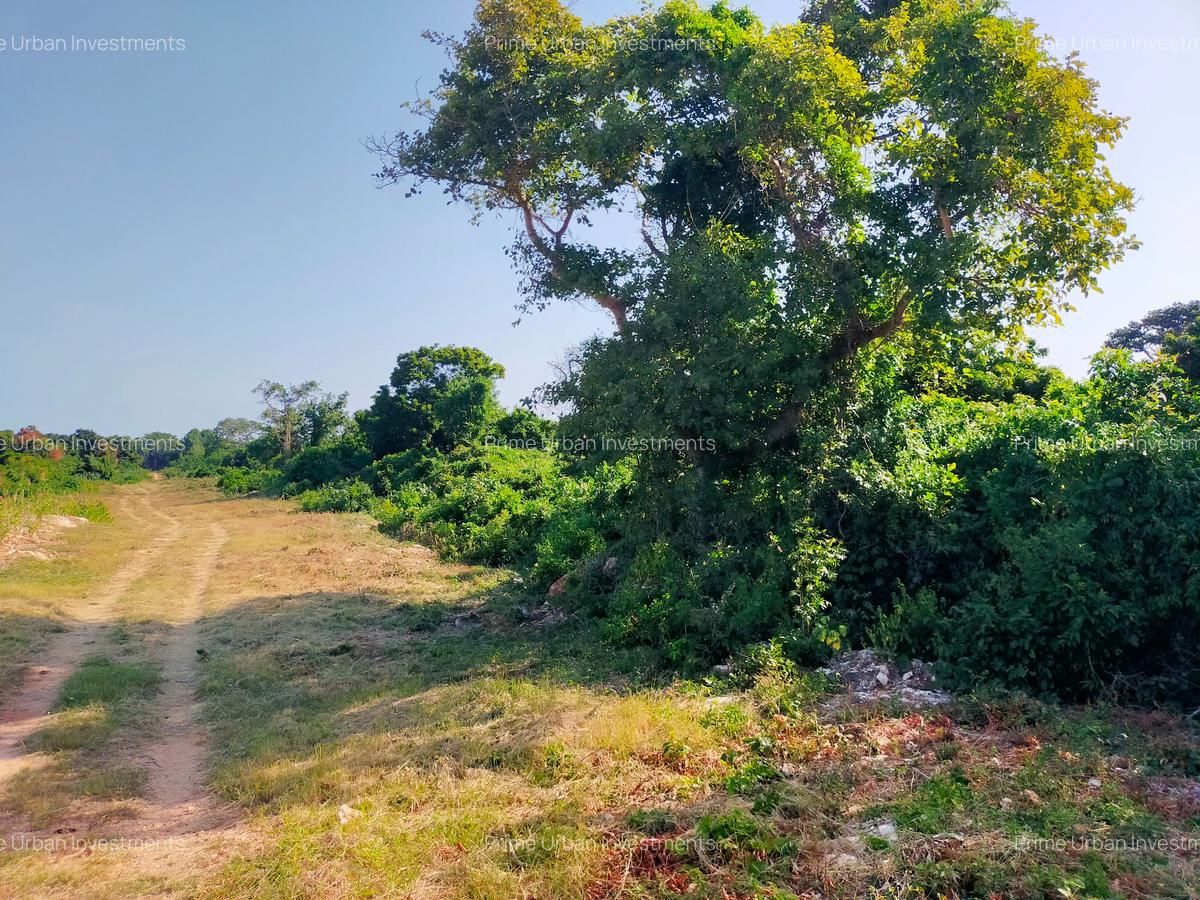 20 ac Land at Kuruwitu Beach Road - 1