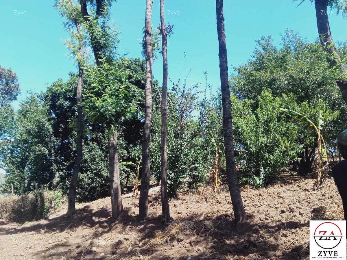 15 ac Land at Touching Nanyuki River - 3