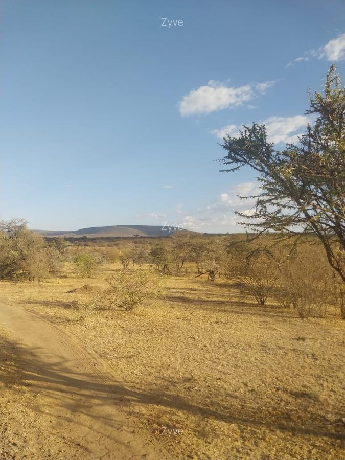 31 ac Land at Sekenani - 3