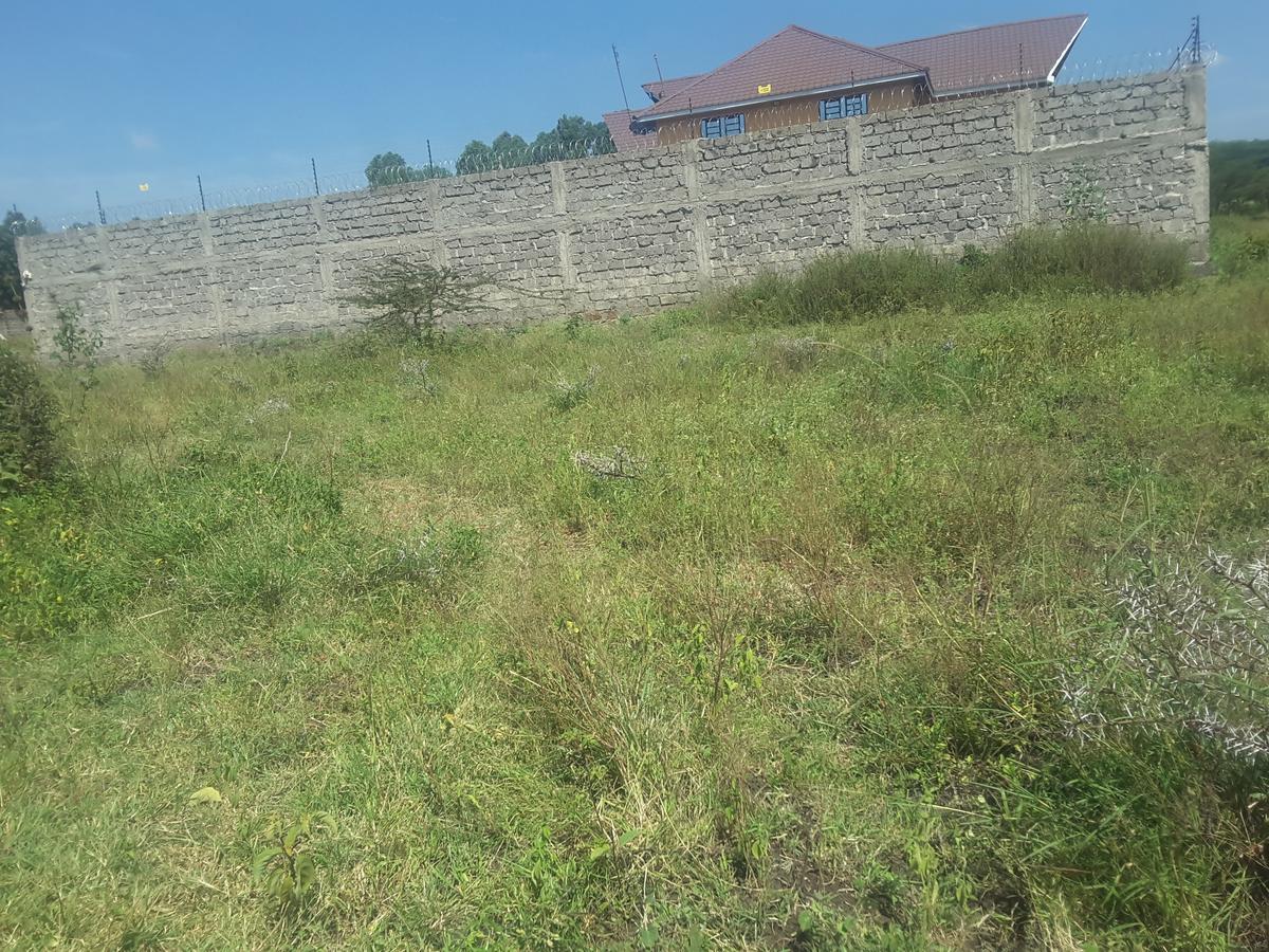 0.25 ac Residential Land in Ongata Rongai - 11