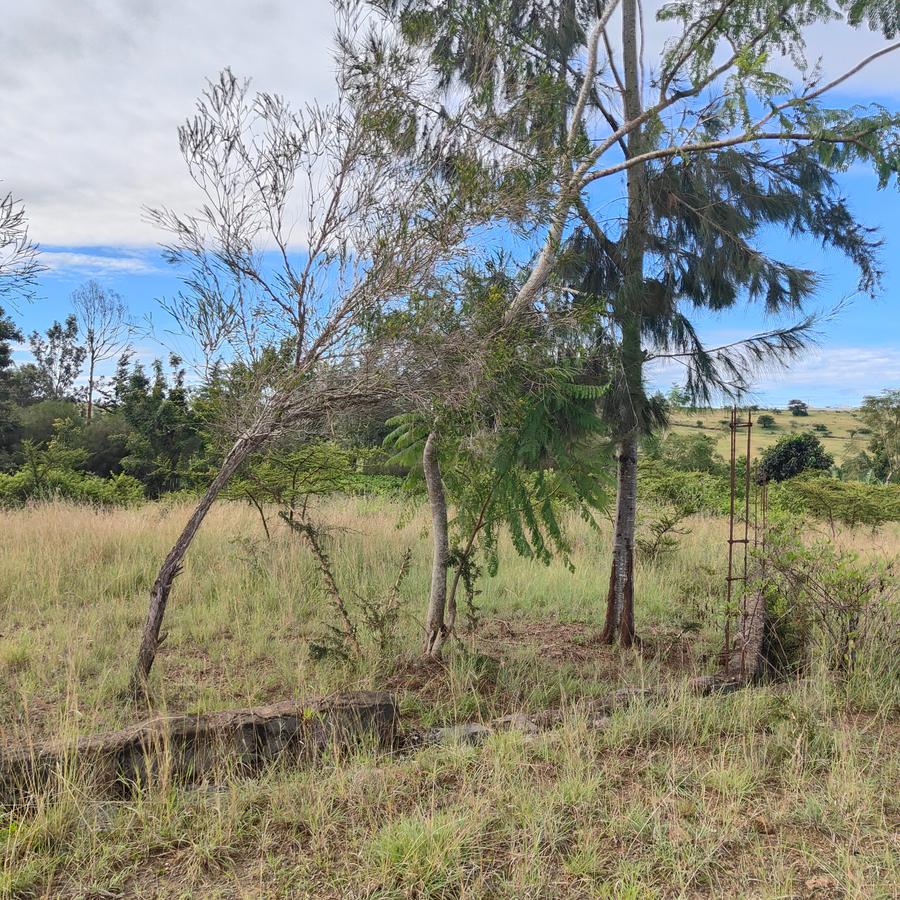 Residential Land at Pipeline Road - 17