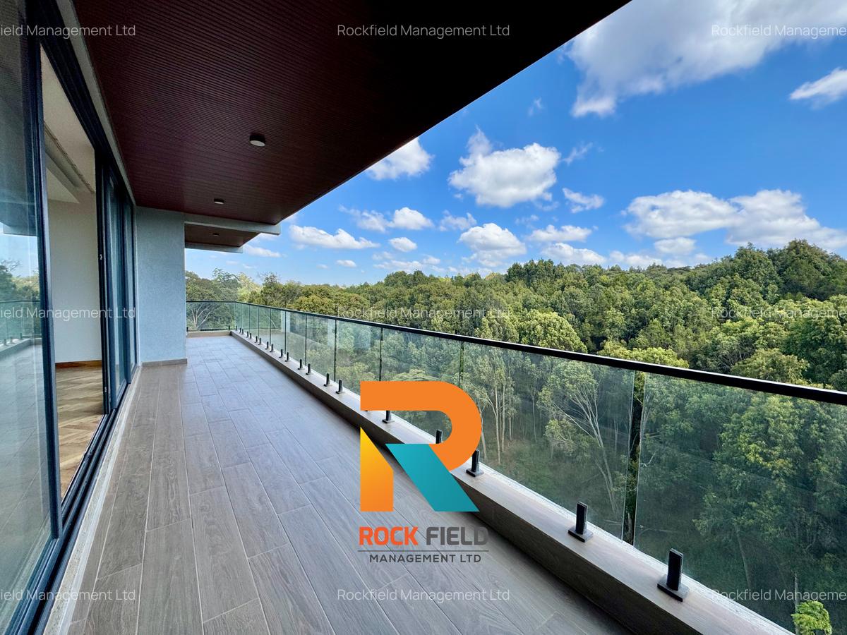 4 Bed Apartment with En Suite in Spring Valley - 18