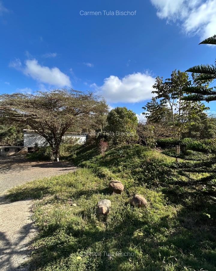 Commercial Land at Kona Baridi - 7