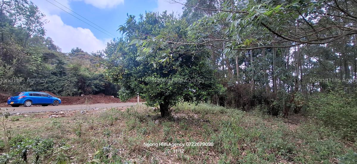 Residential Land at Kerarapon Drive - 4