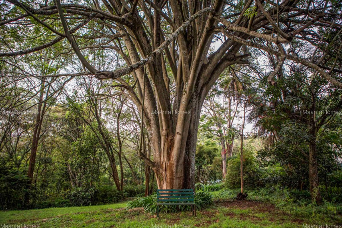 Serviced 2 Bed Apartment with En Suite at Muthaiga Road - 16