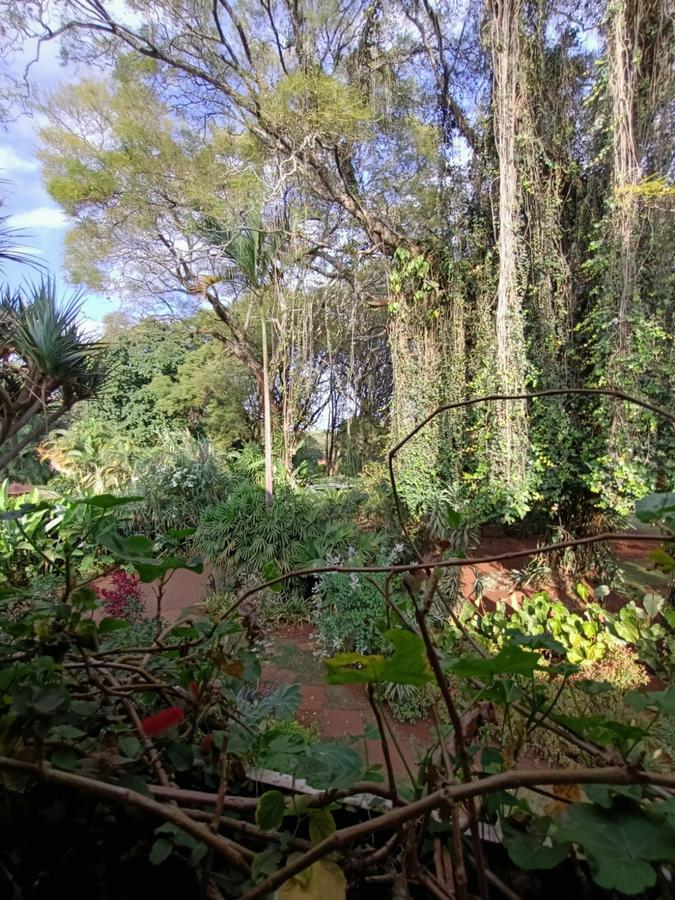 0.8 ac Land in Lavington - 5