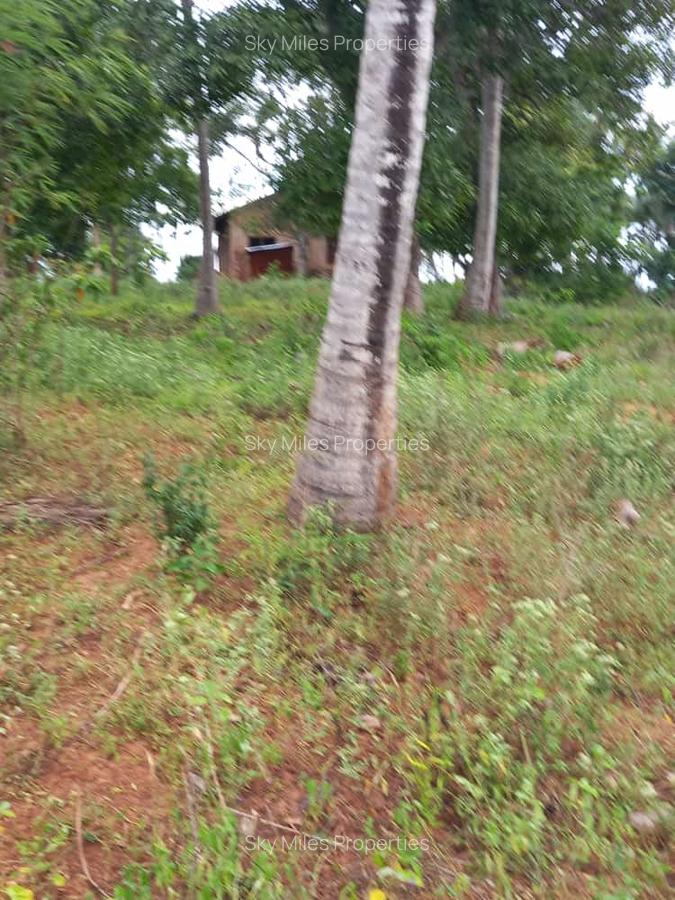 6 m² Land at Bomani - 14