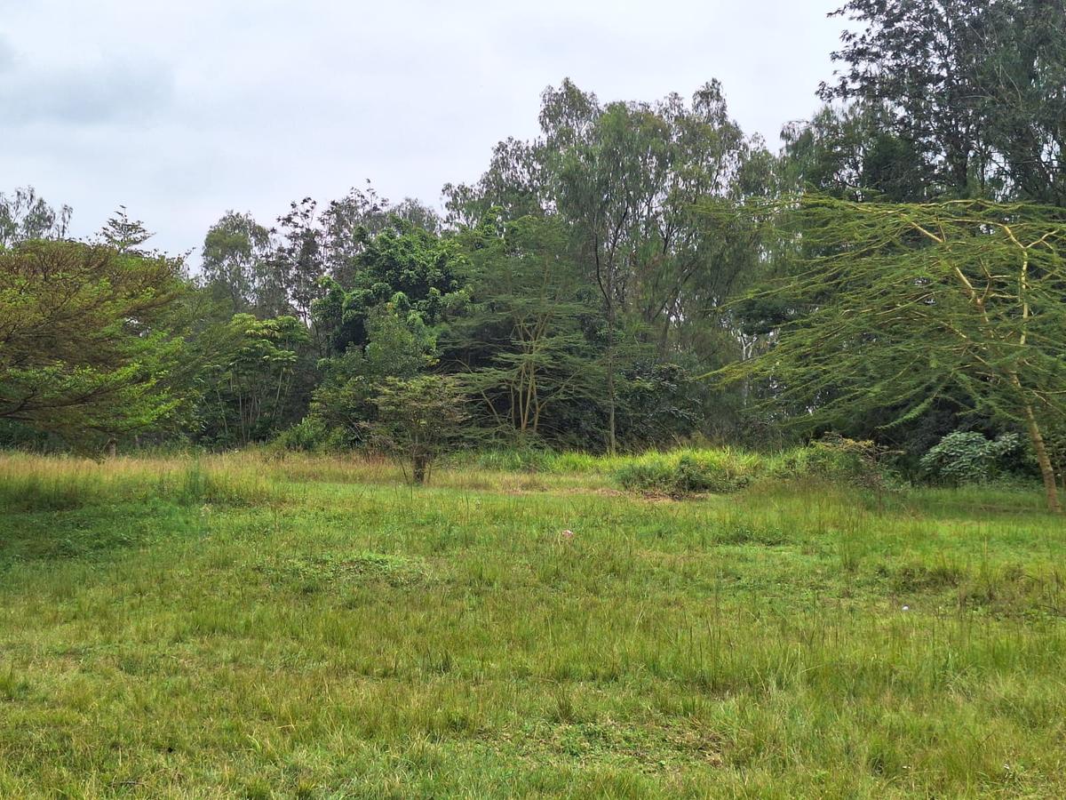 5 ac Residential Land at Mukoyet West - 1