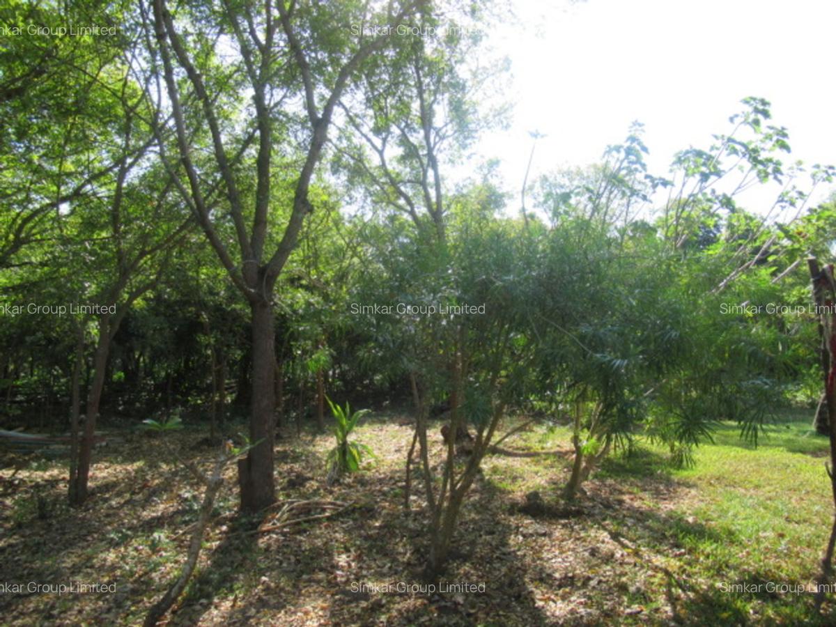 Land at Off Diani Beach Rd - 6