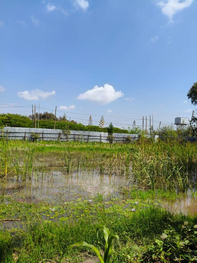 Residential Land at Karen - 18