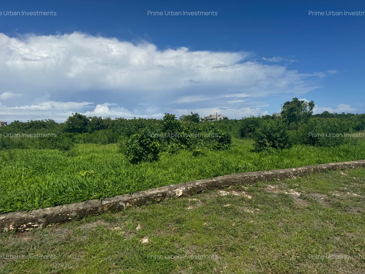 Land in Vipingo - 15