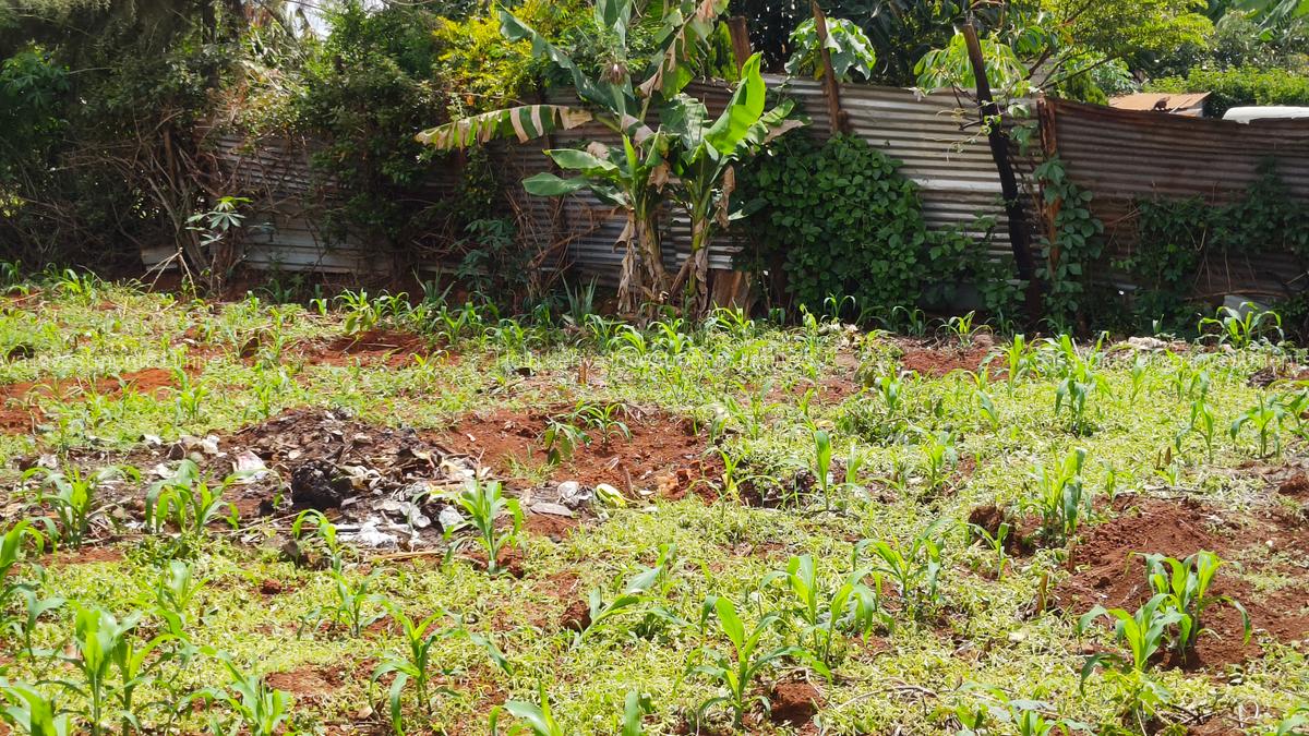 0.25 ac Residential Land at River Side Drive - 10