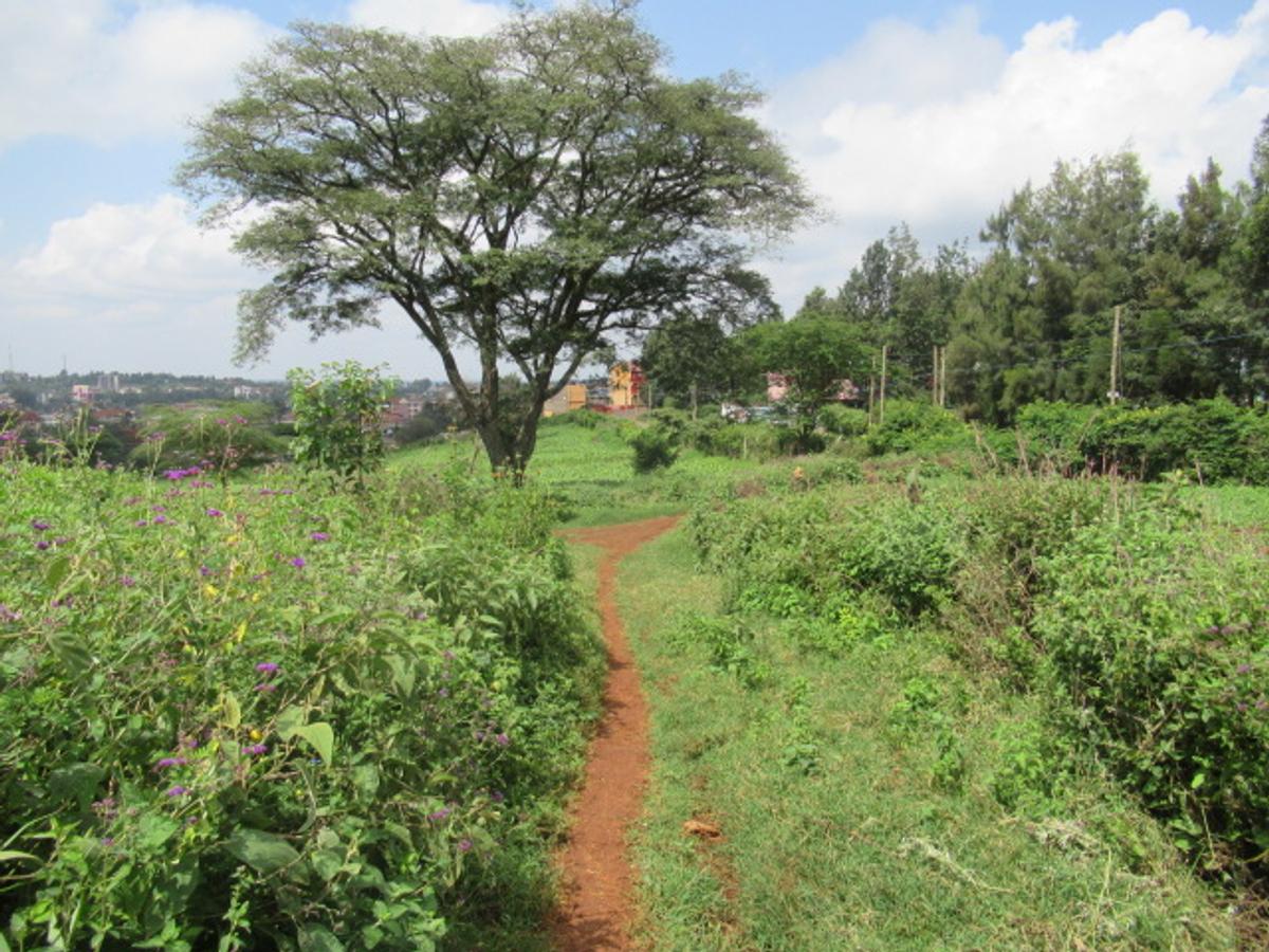 Land at Ngong Town - 9