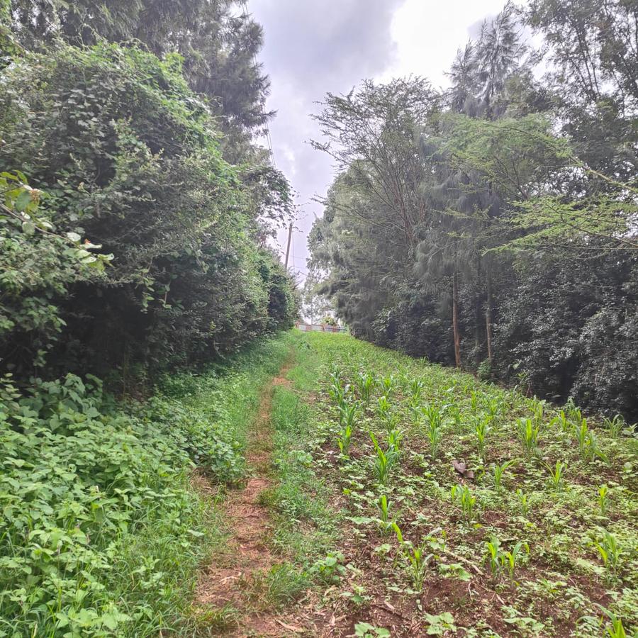 1 ac Land at Ngong - 2