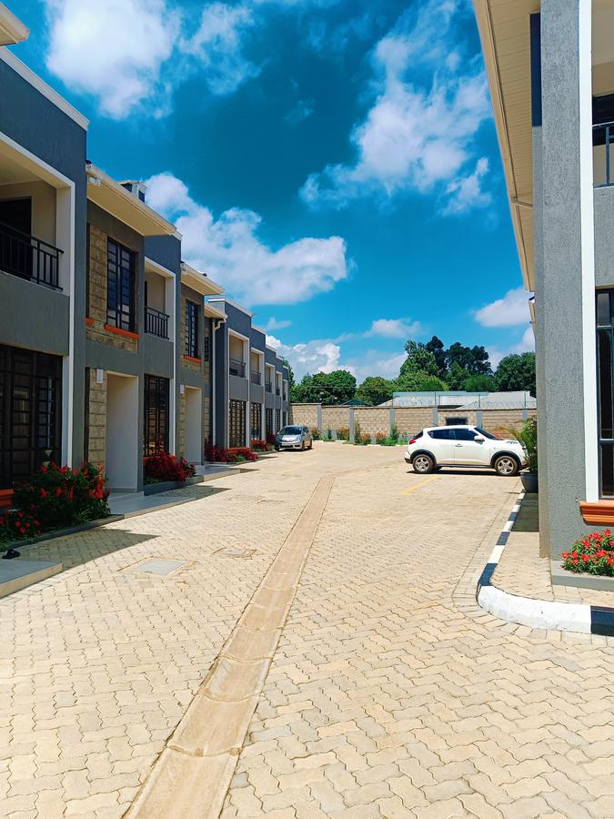 3 Bed Townhouse with En Suite at Thogoto - 19