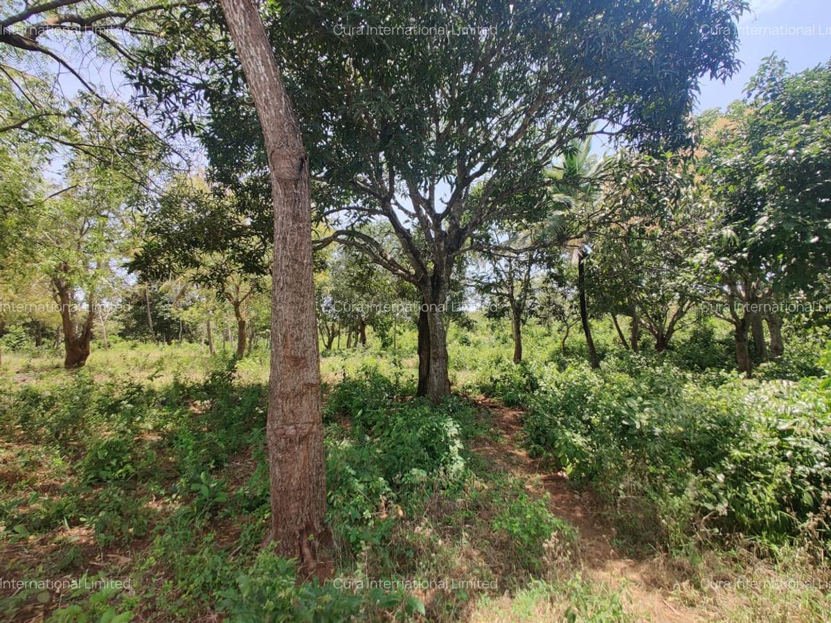 0.25 ac Land in Diani - 2