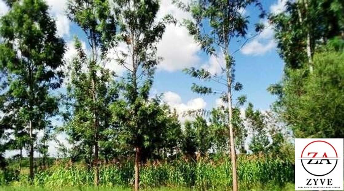 0.25 ac Land at Thika - 8