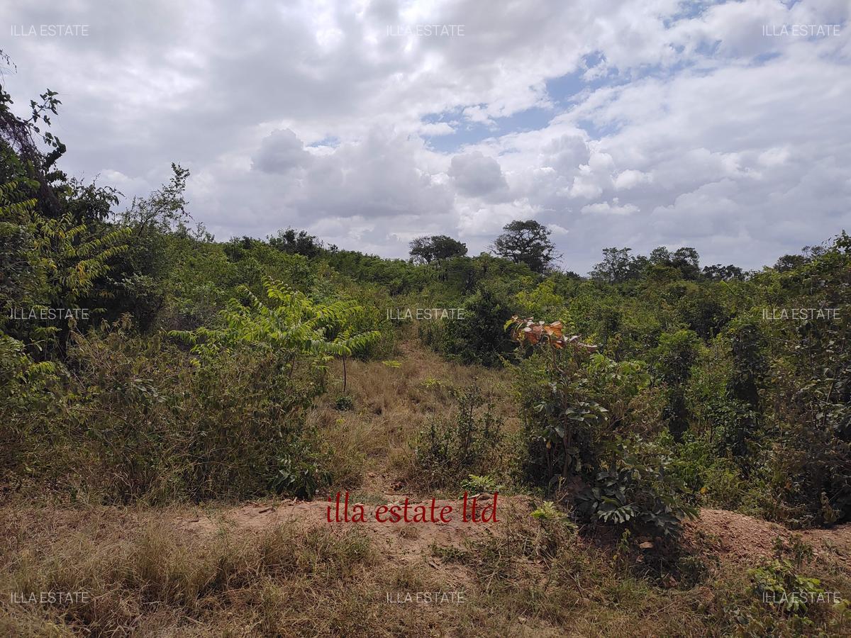 1.00 ac Residential Land at Diani Beach Road - 5