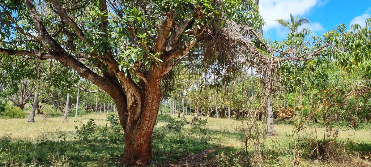 6 ac Land at Mtwapa - 3