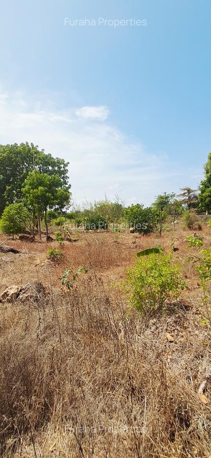 Land at Vipingo - 10