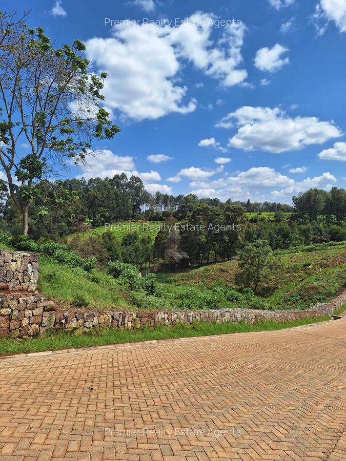 0.25 ac Residential Land at Tigoni - 17