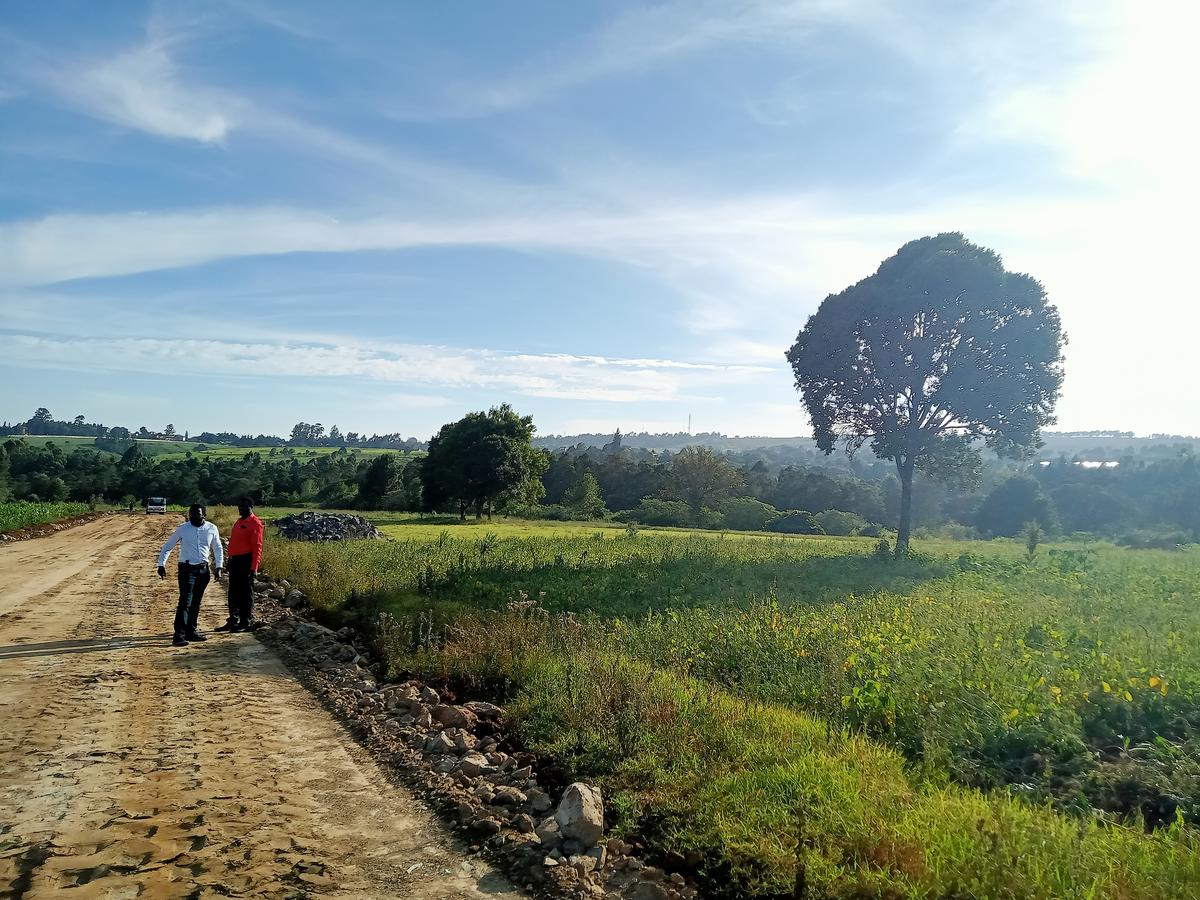 Residential Land in Tigoni - 19