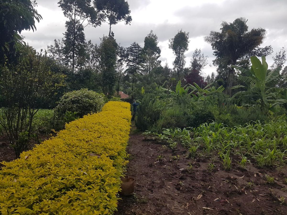 1.25 ac Land in Ngong - 6