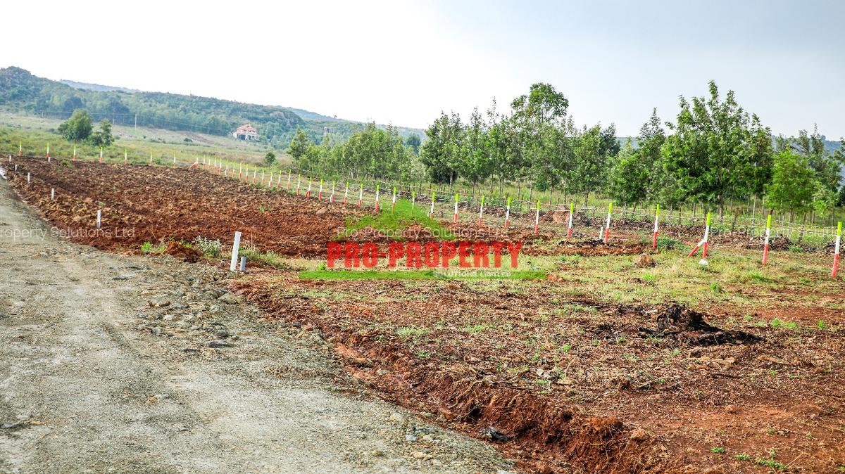 0.05 ha Residential Land at Nachu - 9