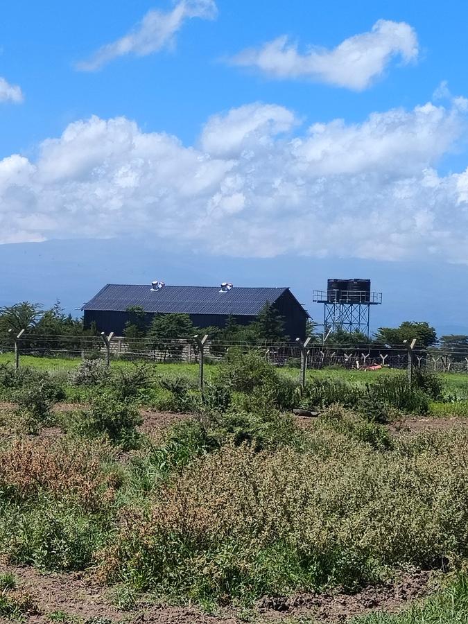 Residential Land at Kimuri - 19