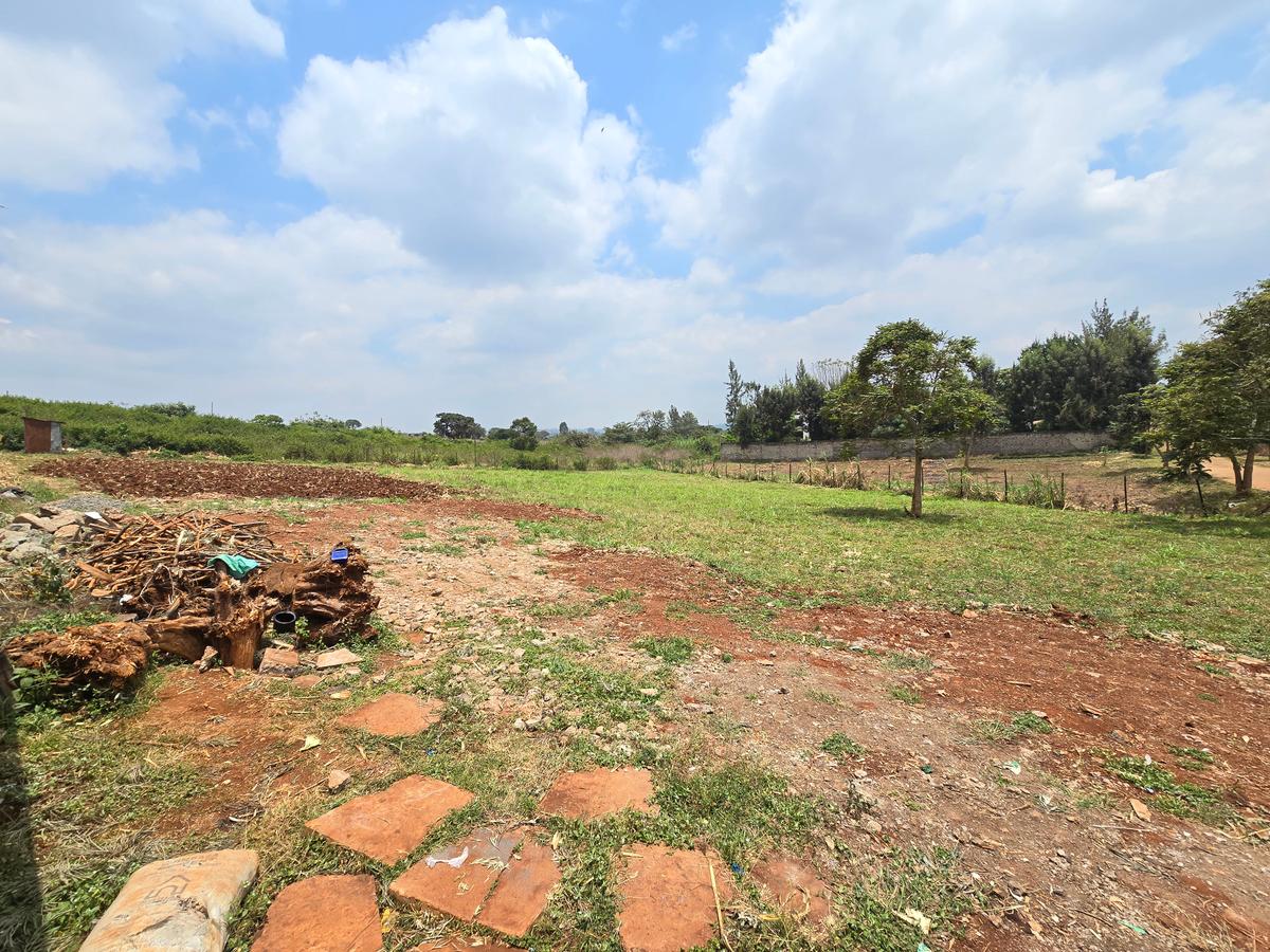 Residential Land at Runda Garden - 4