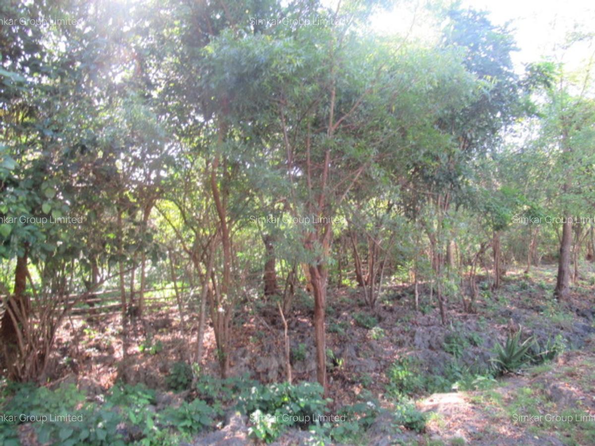 Land at Off Diani Beach Rd - 5