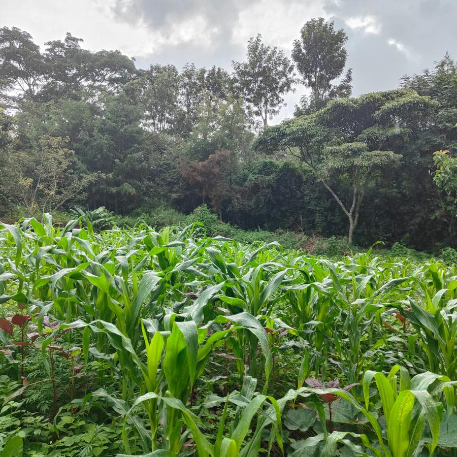 1 ac Land at Ngong - 9