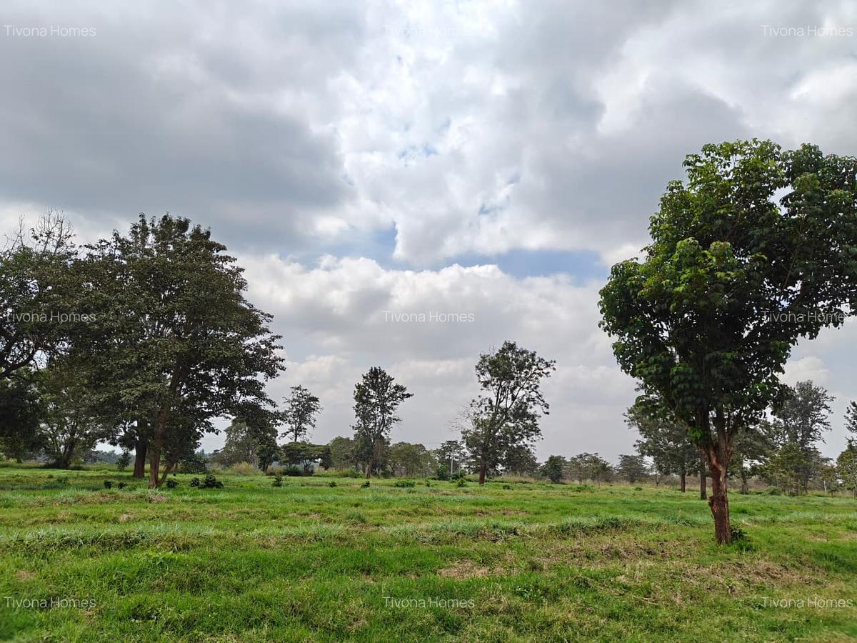 0.25 ac Commercial Land in Kiambu Road - 13