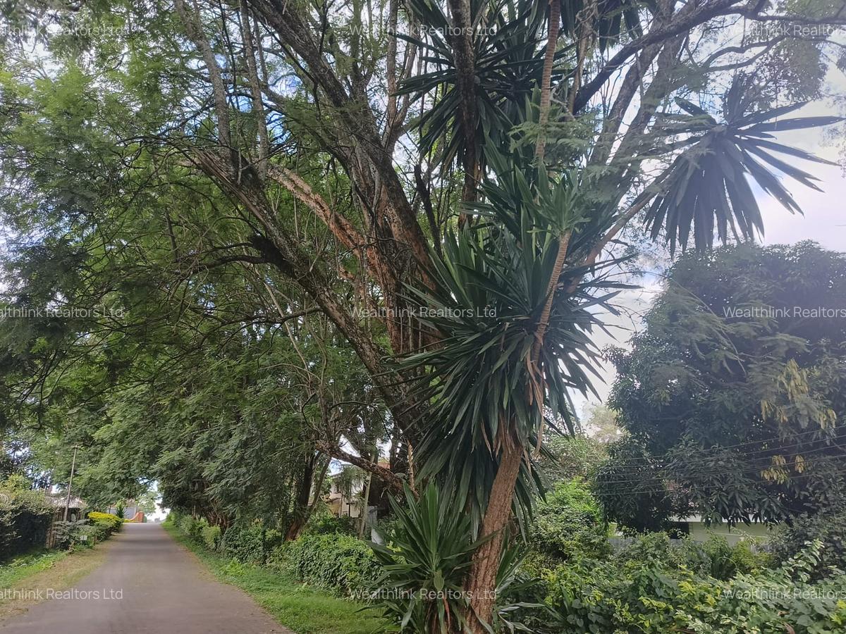 Residential Land at Paradise Lost/Mhasibu - 5