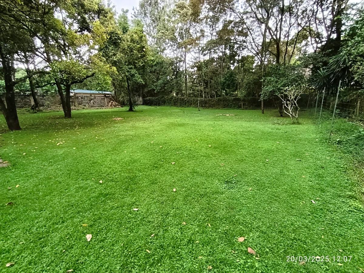 Commercial Property with Fibre Internet in Lavington - 4