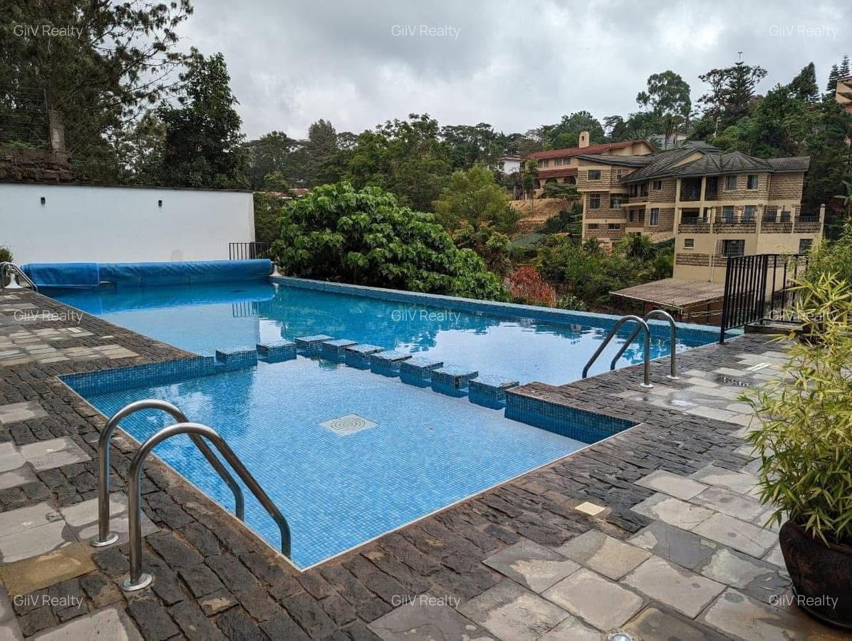 Furnished 2 Bed Apartment with En Suite in Spring Valley - 19