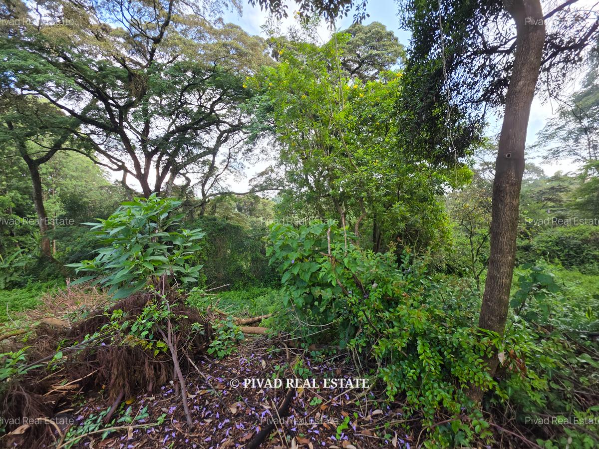 4.8 ac Land in Lower Kabete - 9