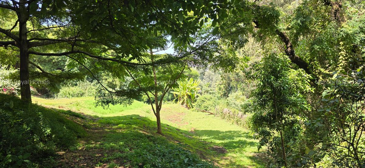 6 Bed House with En Suite at Ngecha - 7