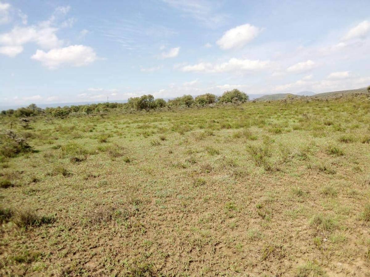 Land in Naivasha - 5