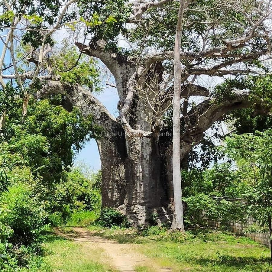 Land in Vipingo - 18