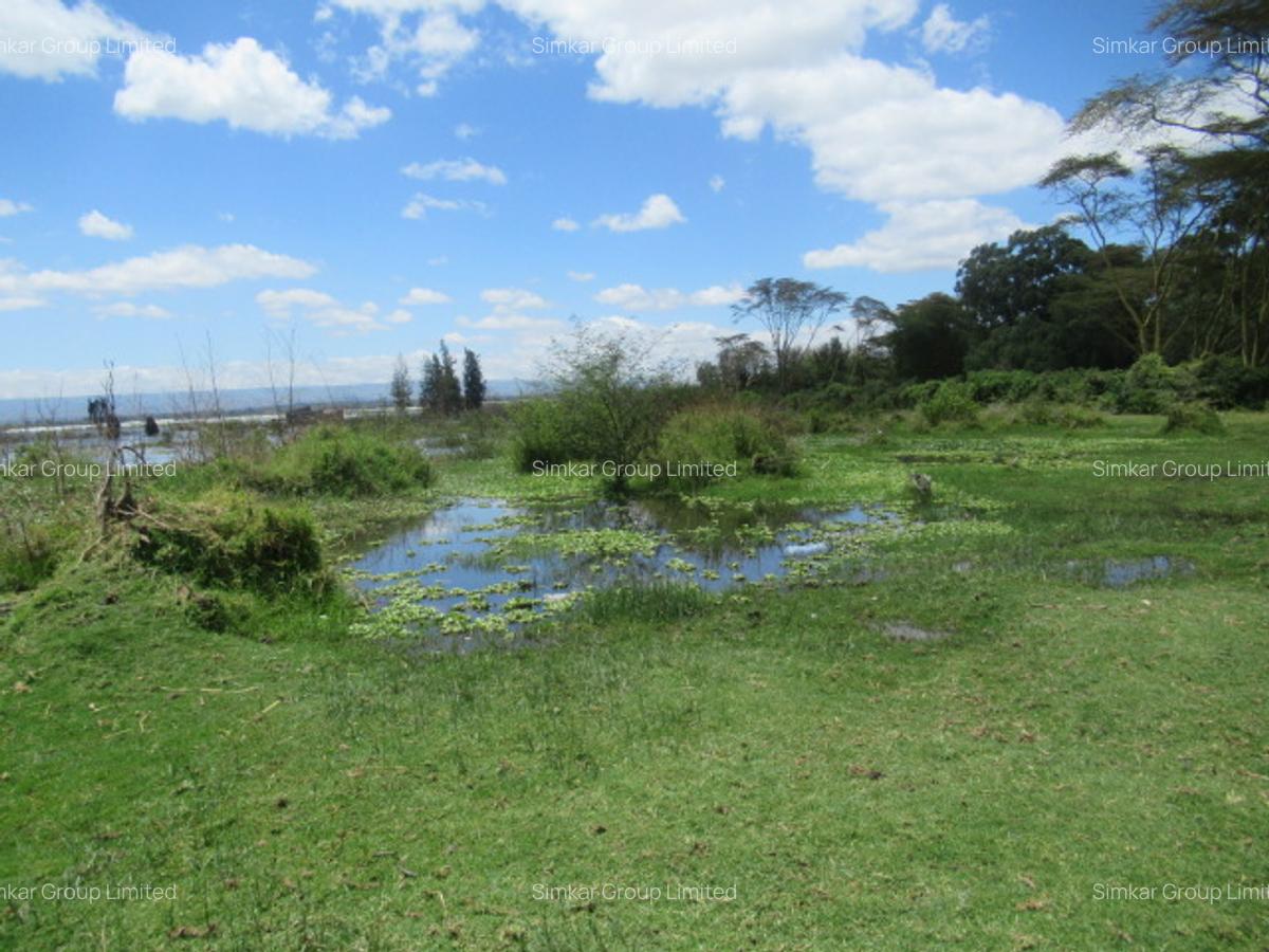25 ac Land at Moi S Lake Rd - 9
