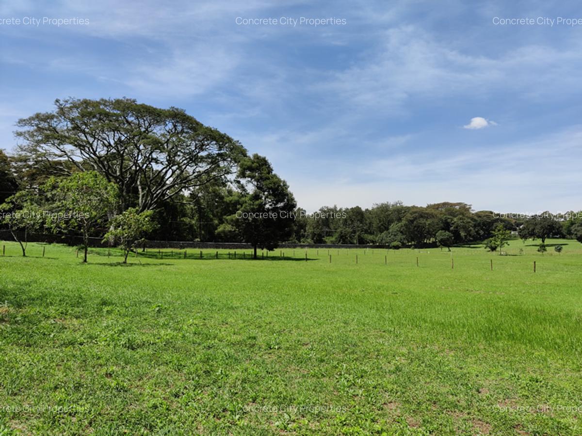 1 ac Land in Karen - 2