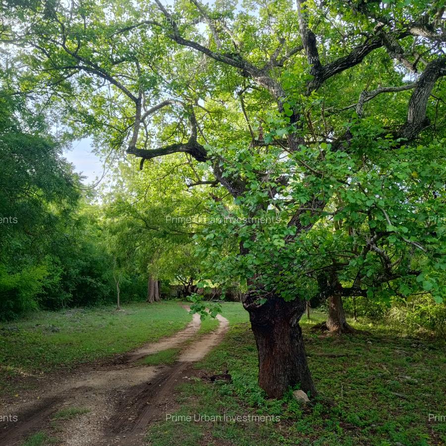 90 ac Residential Land at Kuruwitu-Vipingo - 12
