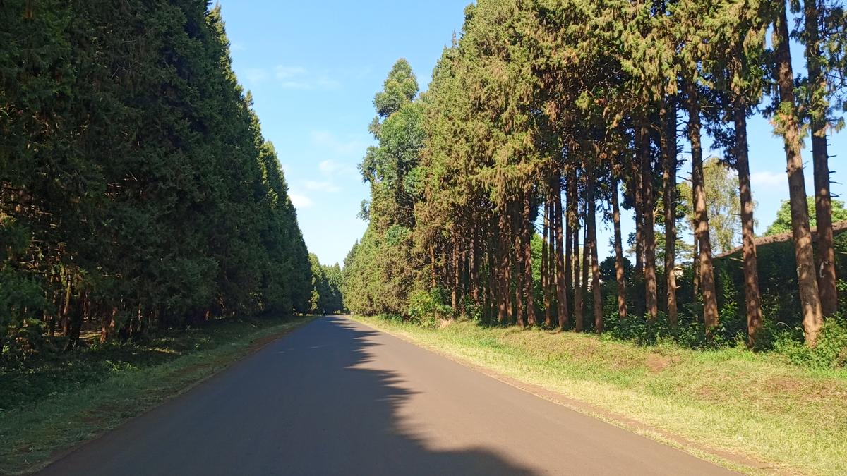 0.05 ha Residential Land at Kikuyu - 2