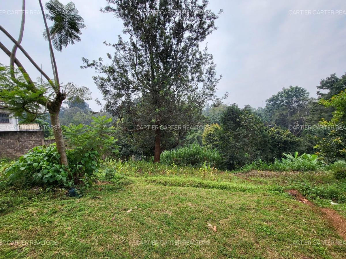 Land in Parklands - 2