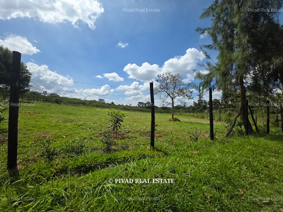 0.75 ac Land in Runda - 6